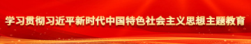 日逼操穴片学习贯彻习近平新时代中国特色社会主义思想主题教育